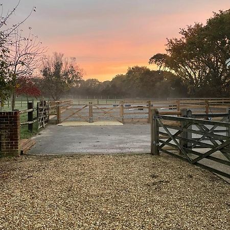 The Stable Yard @ Manor Bank Cottage Beaulieu Esterno foto